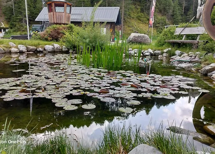 Kamp alanı White Pearl *